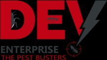 Dev Enterprise
